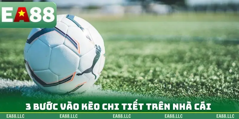 3 bước vào kèo chi tiết trên nhà cái