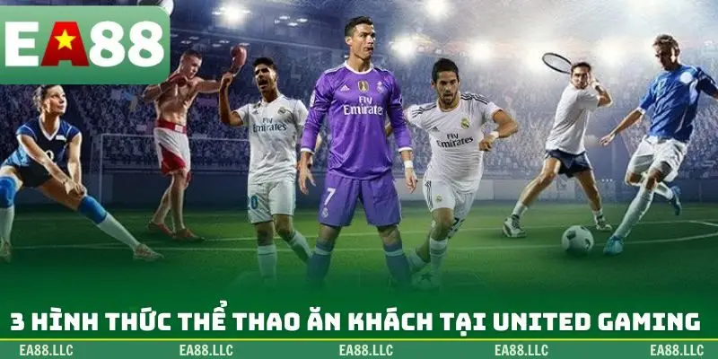 3 hình thức thể thao ăn khách tại United Gaming