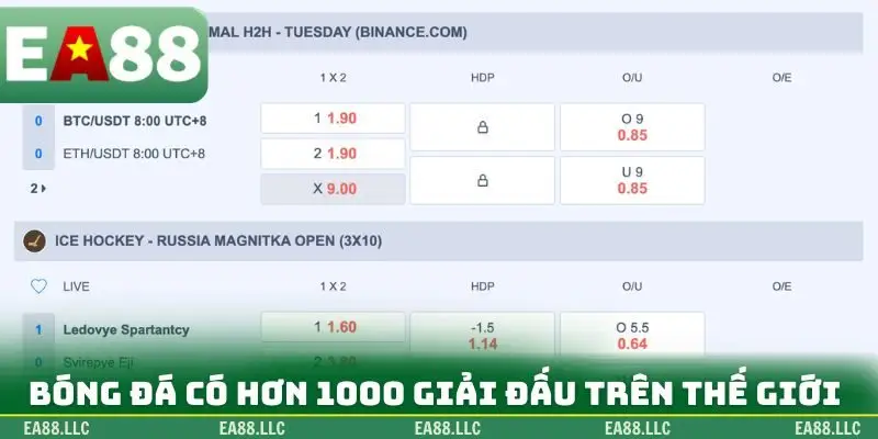 Bóng đá có hơn 1000 giải đấu trên thế giới