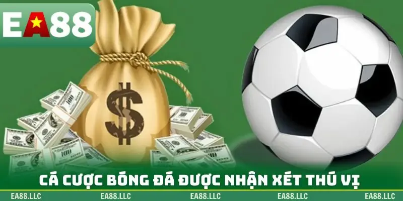 Cá cược bóng đá được nhận xét thú vị