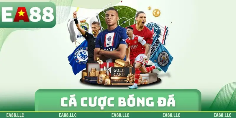 cá cược bóng đá