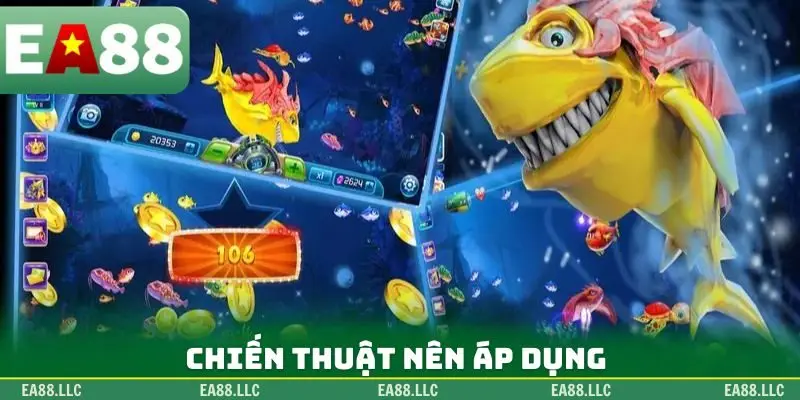 Chiến thuật nên áp dụng