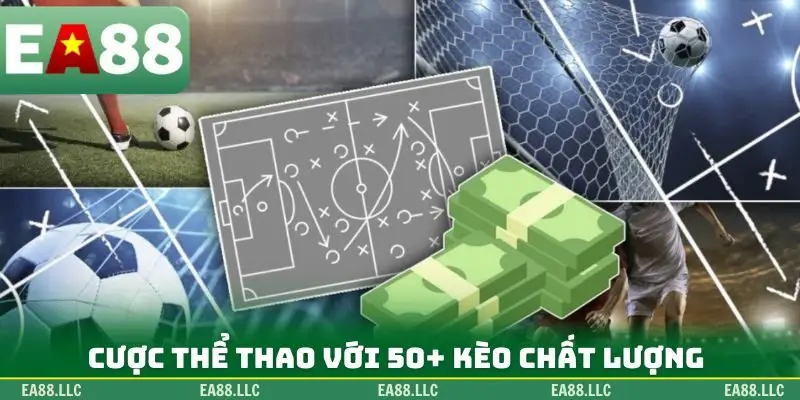 Cược thể thao với 50+ kèo chất lượng