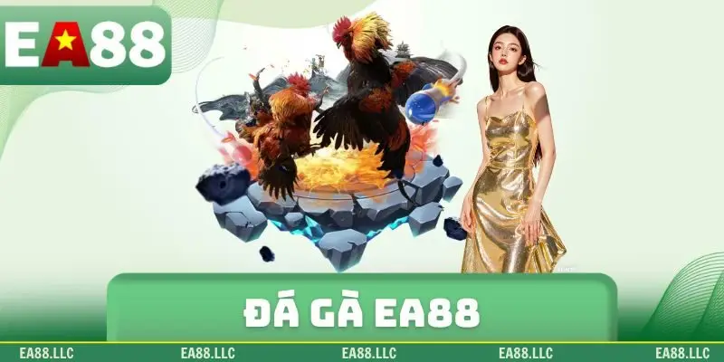 Đá gà EA88