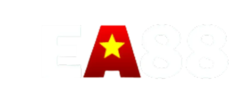 newseo