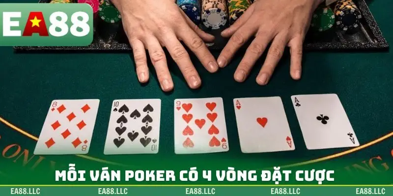 Mỗi ván Poker có 4 vòng đặt cược