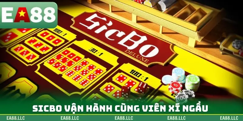 Sicbo vận hành cùng viên xí ngầu