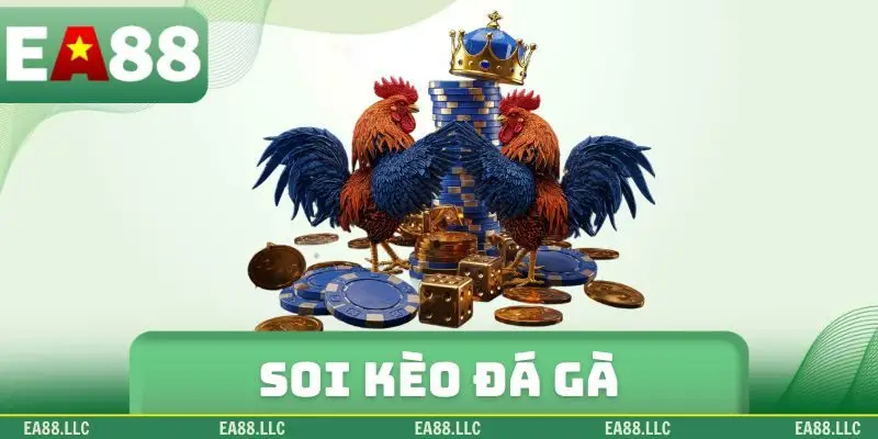 Soi kèo đá gà