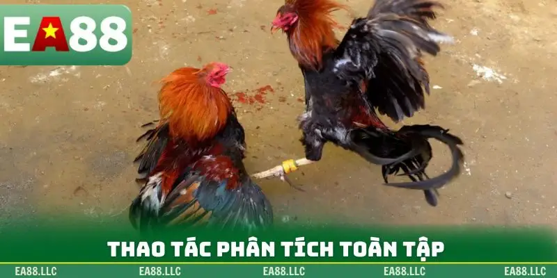 Thao tác phân tích toàn tập