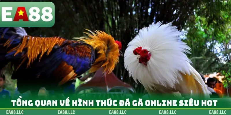 Tổng quan về hình thức đá gà online siêu hot